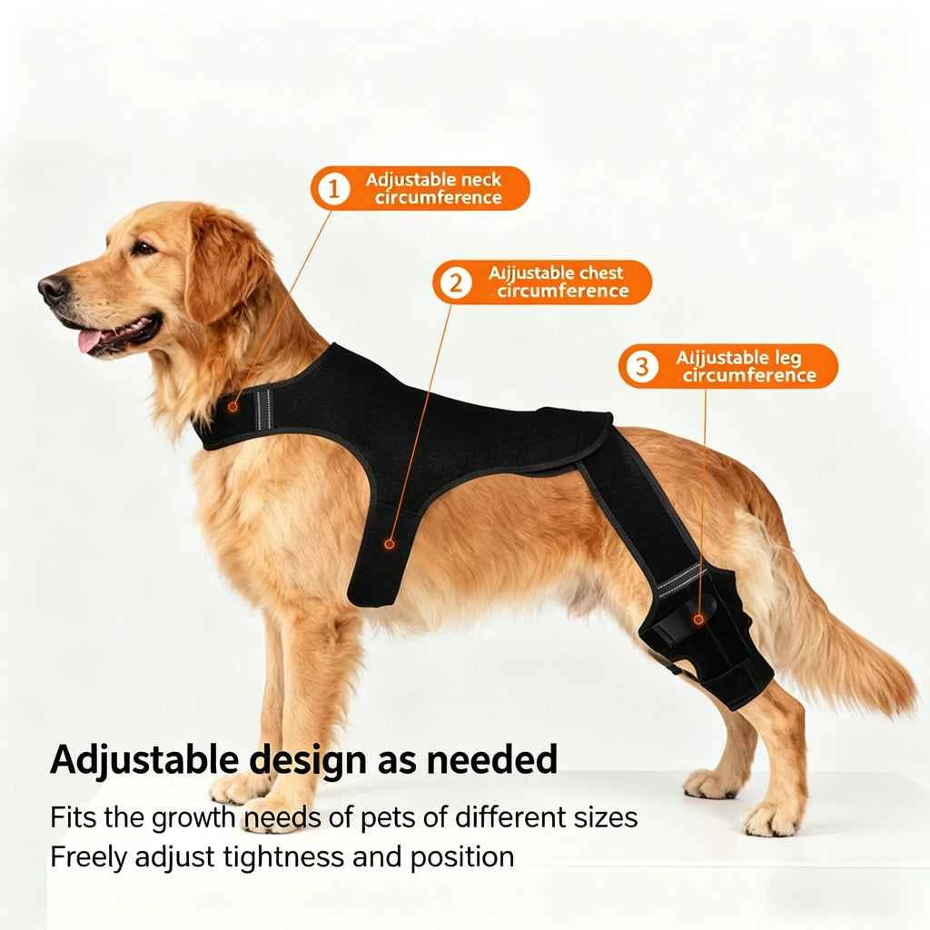 Dog Hind-Leg Brace with Neck and Chest Wrap