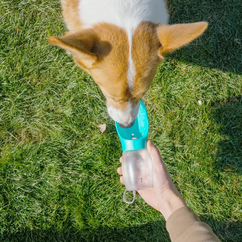 300 ml Portable Pet Water Bottle with Carry Strap
