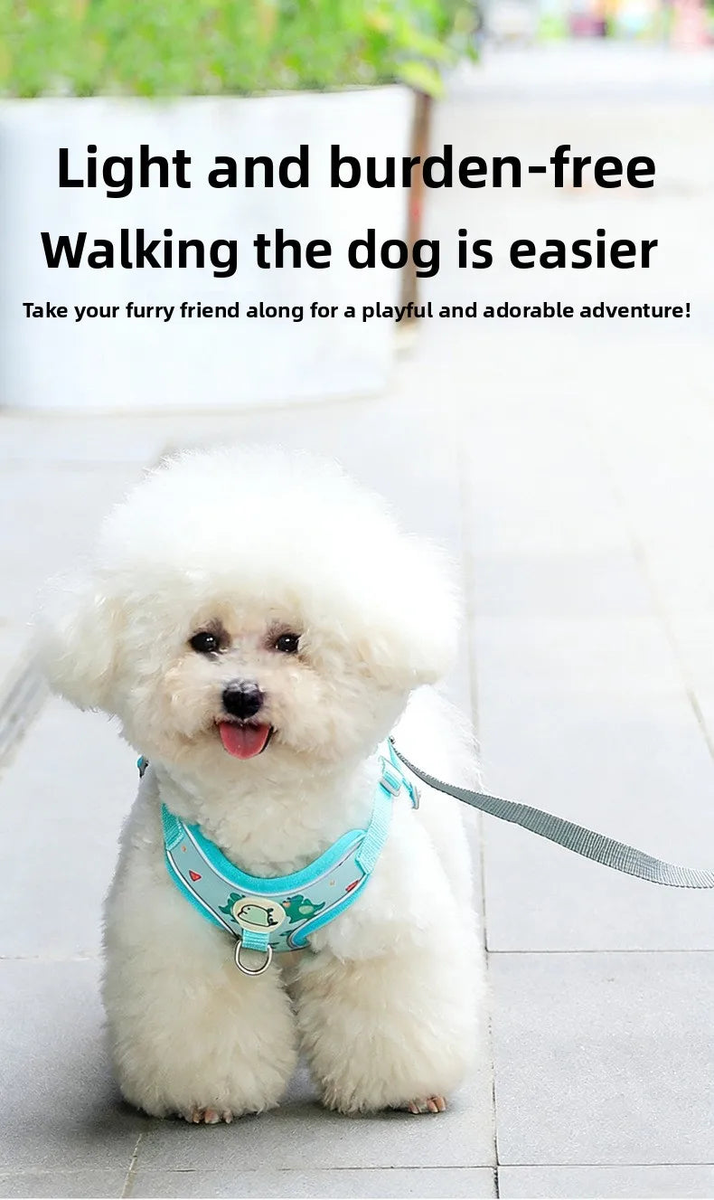 Cartoon-Print Pet Vest Harness, Harness or Leash Option