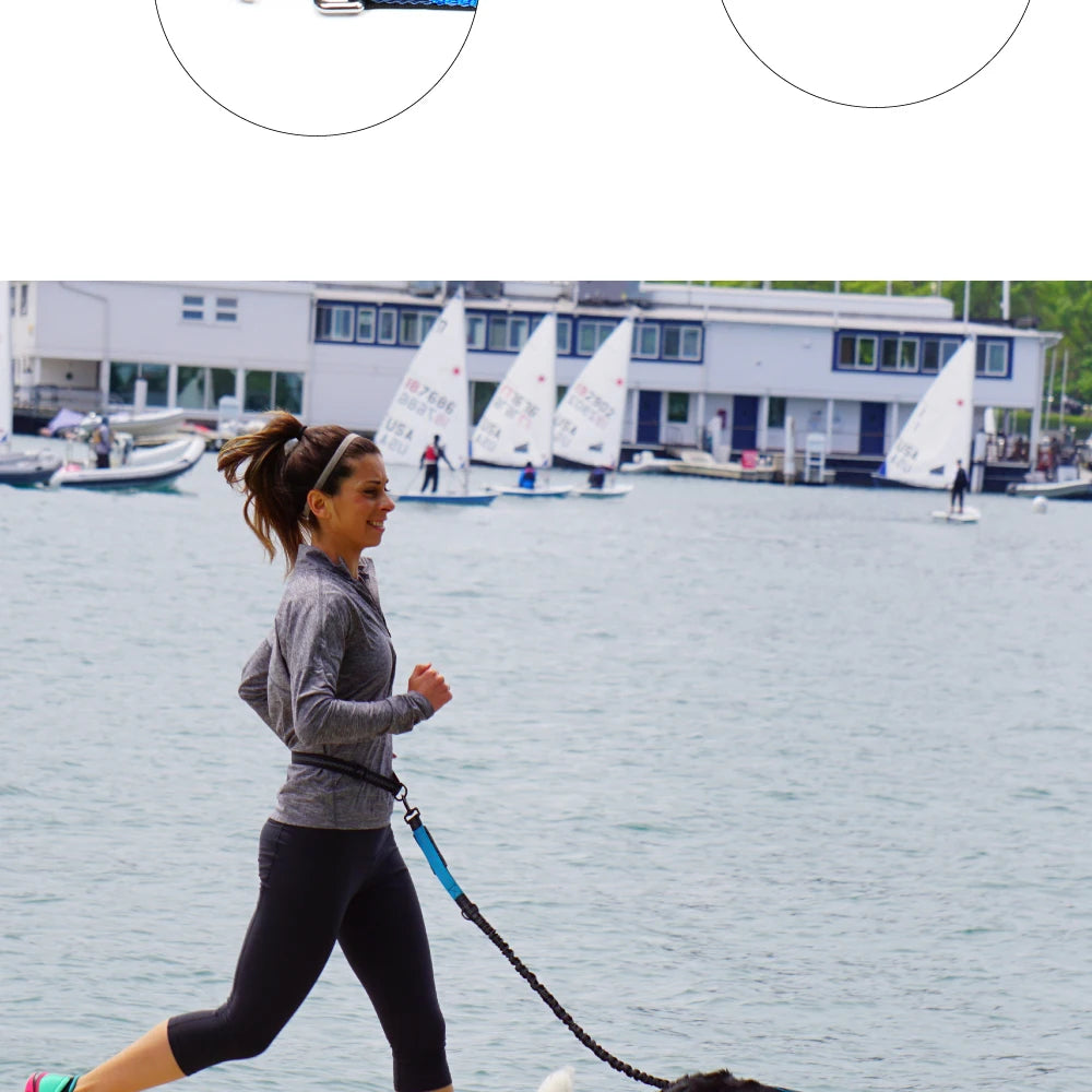 Waist-Belt Dog Leash Set with Bungee Sections