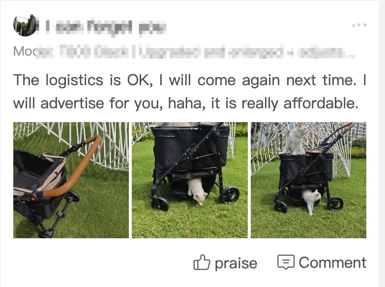 Folding Pet Stroller with Detachable Carrier & Lower Basket