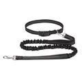 Waist-Belt Dog Leash Set with Bungee Sections