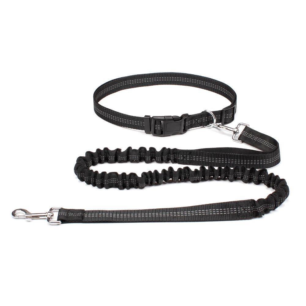 Waist-Belt Dog Leash Set with Bungee Sections