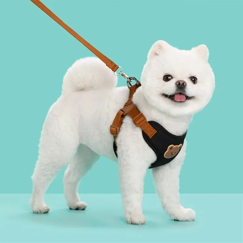 Bear-Detail Pet Harness & Leash Set with Mesh Lining