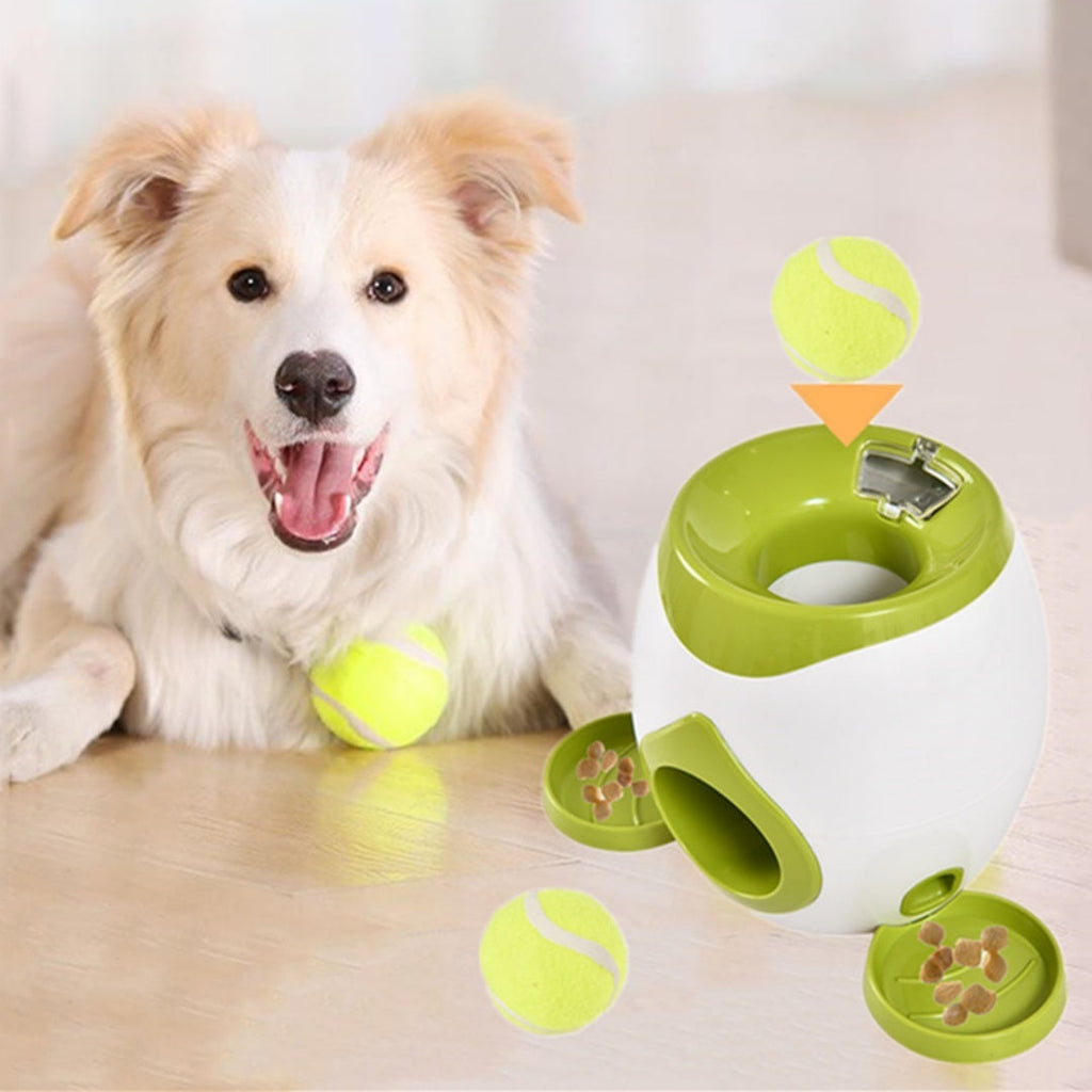 Dog Ball Launcher & Treat Dispenser Toy